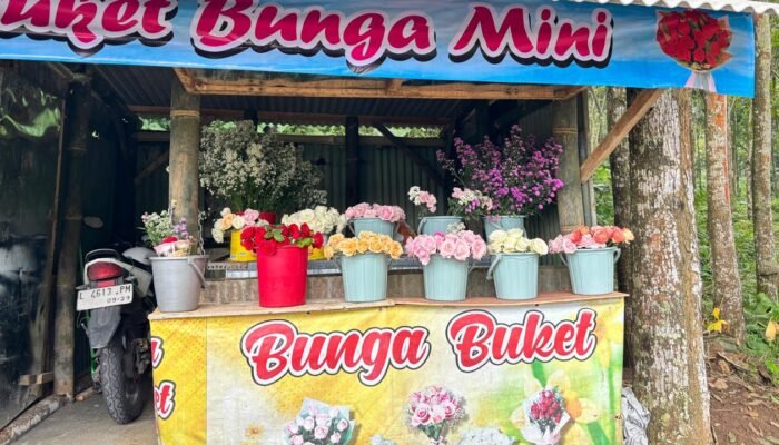 Hari Valentine, Penjualan Bunga di Pacet Mojokerto Meningkat Drastis