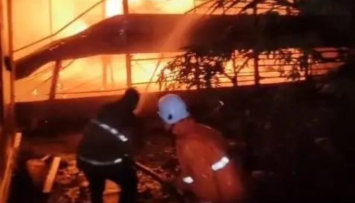 30 Ribu Ayam Mati Terpanggang, Kebakaran Kandang di Jatirejo Mojokerto Dipadamkan Setelah 6 Jam