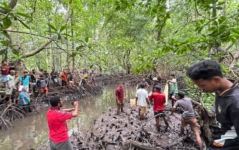 Warga desa gitaraja ditemukan meninggal dunia di dalam hutan mangrove. Foto lentera Inspiratif