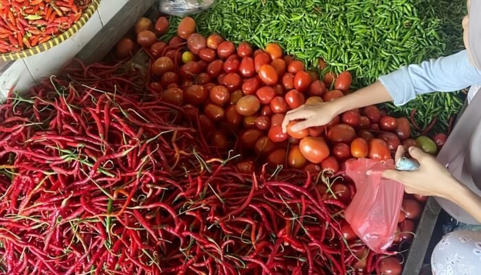 Update Harga Sembako 3 Maret 2026, Cabai Rawit dan Elpiji 3 Kg Naik
