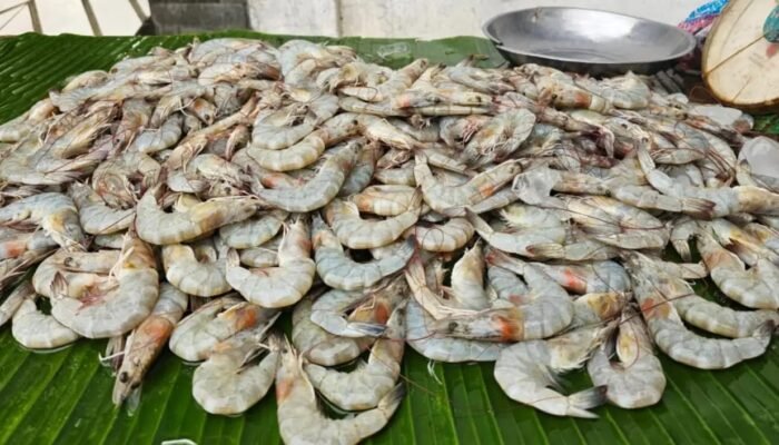 Harga Udang Naik Jelang Lebaran, Tembus Rp120 Ribu per Kg di Sejumlah Daerah