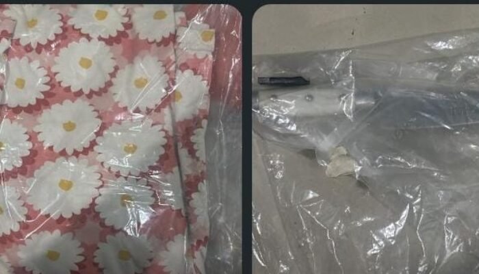 Kasus Pencabulan Disertai Ancaman di Dawarblandong, Pelaku Berhasil Diamankan Polisi