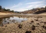 Gambar ilustrasi musim kemarau