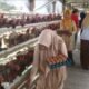Semangat Kartini di Mojokerto, Kades Perempuan Ini Sukses Angkat Ekonomi Desa Lewat Peternakan Ayam