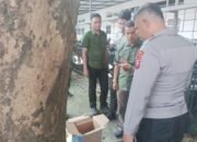 Bayi Perempuan Ditemukan Meninggal dalam Kardus di Klojen Malang, Polisi Buru Pelaku