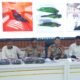 Polres Probolinggo Kota Gagalkan Penyelundupan 38 Satwa Dilindungi, Satu ABK Diamankan