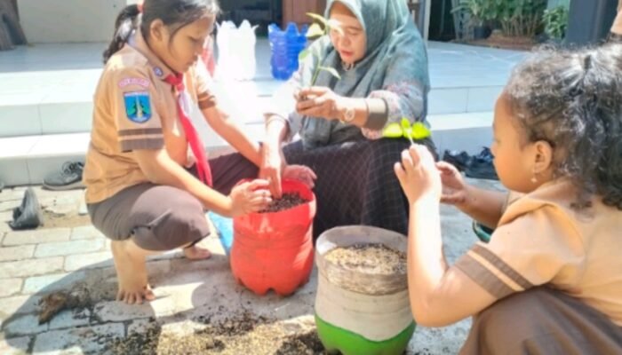 Sinergi Hijau di Jantung Kota: SDN Balongsari 3 Mojokerto Sulap Lahan Sempit Jadi Kebun Produktif Melaui Inovasi Tabulampot