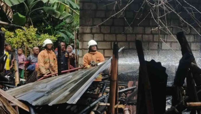 Kandang Kambing di Kutorejo Mojokerto Ludes Terbakar, Dua Ekor Tewas