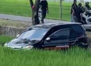 Hindari Motor, Avanza Terperosok ke Sawah di Kapas Bojonegoro