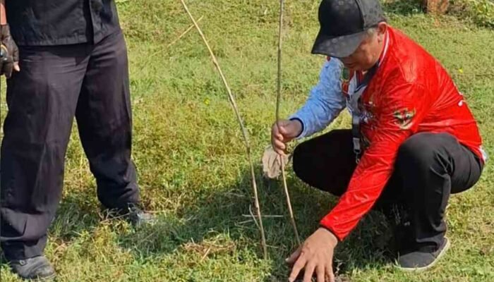 DPC PDI Perjuangan Kota Mojokerto Tutup Rangkaian Bulan Bung Karno dengan Ziarah Makam dan Penanaman 50 Pohon Sukun