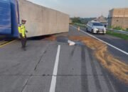 Pecah Ban di Tol SuMo, Xpander dan Truk Box Terlibat Kecelakaan Beruntun di Mojokerto