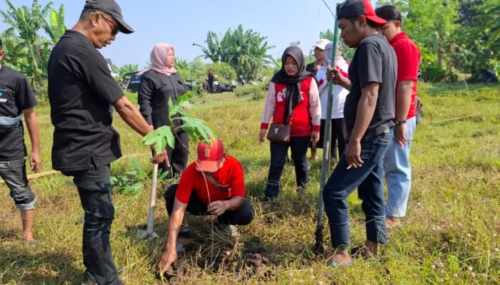 Merawat Pertiwi Sesuai Arahan Ketua Umum dan Ketua DPP Bidang Pertanian, DPC PDI Perjuangan Kota Mojokerto Tanam 50 Bibit Pohon Sukun
