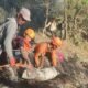 Pendaki Ilegal Semeru yang Terjatuh ke Jurang 375 Meter Akhirnya Dievakuasi Selamat