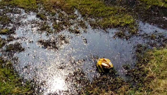 DLH Ungkap Limbah Tetes di Mojosari Berasal dari PT Enero, Pengiriman Langsung Dihentikan
