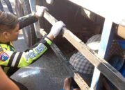 Truk Diduga Rem Blong Tabrak Tiga Motor dan Empat Pejalan Kaki di Jombang, Dua Tewas Enam Luka