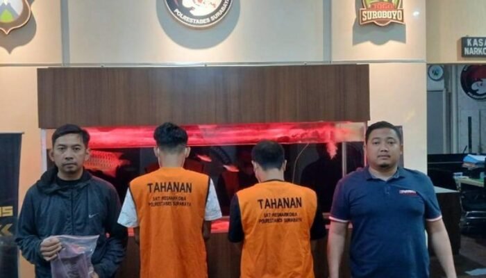 Polisi Bekuk Dua Pengedar Sabu di Surabaya, 250 Gram Narkoba Disita dari Rusun Sombo