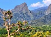 Pendaki Asal Surabaya dan Pemandu Lokal Hilang Kontak di Gunung Piramid Bondowoso