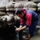 Petirtaan Jolotundo, Jejak Sejarah Airlangga dengan Mata Air yang Dipercaya Berkualitas Tinggi