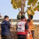 Pria Tanpa Identitas Ditemukan Meninggal di Sisi Tol JoMo