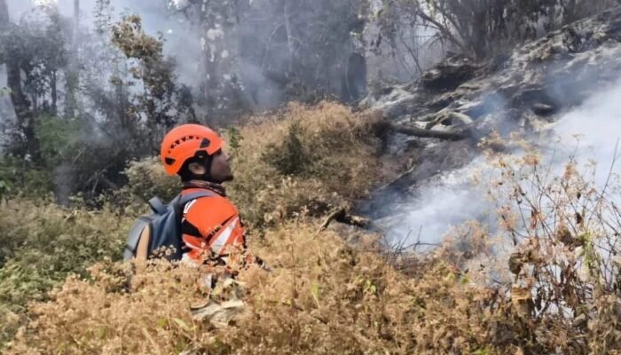 Karhutla Gunung Butak Meluas, Api Turun Mendekati Pos 3