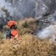 Karhutla Gunung Butak Meluas, Api Turun Mendekati Pos 3