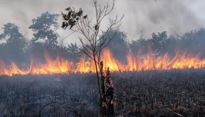 Karhutla Kalbar Masih Jadi Perhatian, Kualitas Udara Sejumlah Wilayah Memburuk