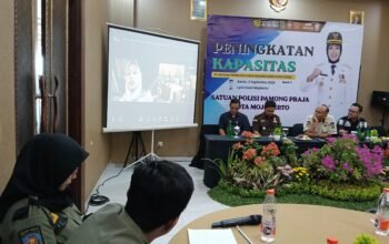 Peningkatan kapasitas cukai ilegal