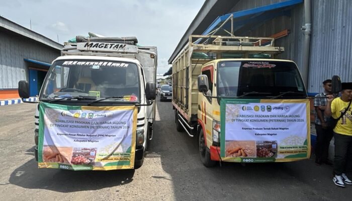 Stok Jagung BULOG Jatim Aman, Penyaluran SPHP Capai 100.699 Ton