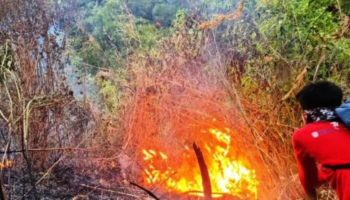 Karhutla Pegunungan Anjasmoro Meluas, Jalur Pendakian Bukit Cendono Mojokerto Ditutup