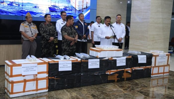 Bareskrim Gagalkan Penyelundupan 12 Boks Baby Lobster Senilai Rp5,8 Miliar, Dua Orang Ditangkap